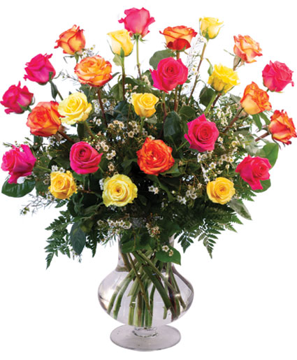 24 Mixed Roses — Katy Florist & Gifts, Katy TX
