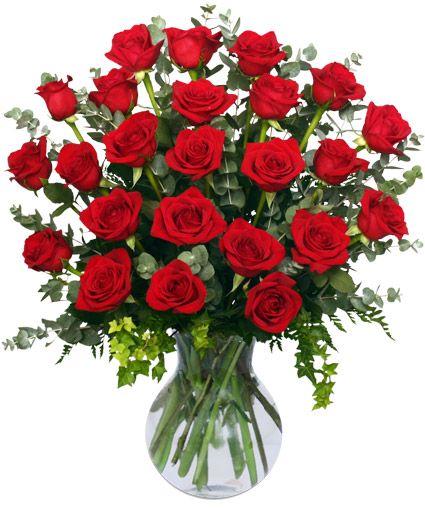 24 Radiant Roses — Katy Florist & Gifts, Katy TX