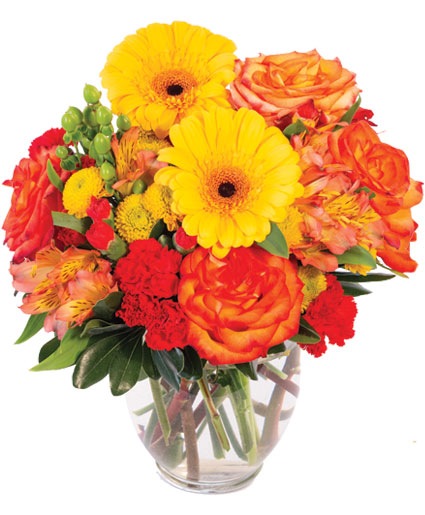 Amber Awe — Katy Florist & Gifts, Katy TX