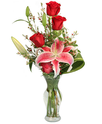 Ardent Expressions — Katy Florist & Gifts, Katy TX
