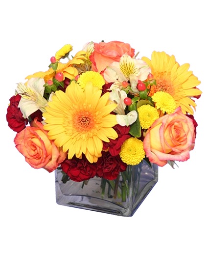 AUTUMN AFFECTION — Katy Florist & Gifts, Katy TX