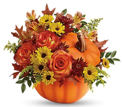 AUTUMN PUMPKIN — Katy Florist & Gifts, Katy TX