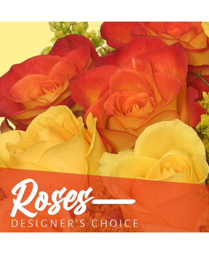 Beautiful Roses — Katy Florist & Gifts, Katy TX
