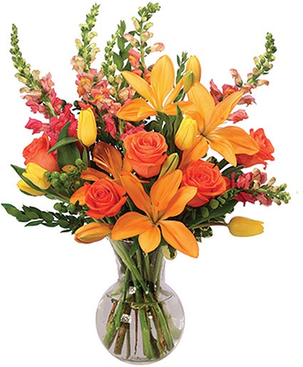 Blooming at Dawn — Katy Florist & Gifts, Katy TX