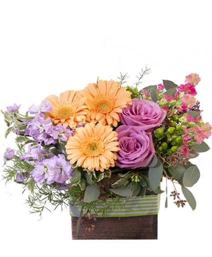 Blooming Wild — Katy Florist & Gifts, Katy TX