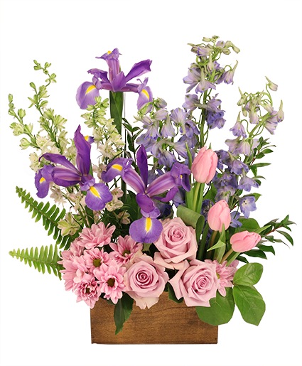 Blushing Blossoms — Katy Florist & Gifts, Katy TX