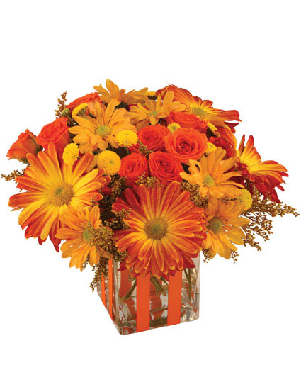 Bonfire Nights — Katy Florist & Gifts, Katy TX