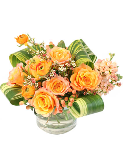 Break of Day — Katy Florist & Gifts, Katy TX