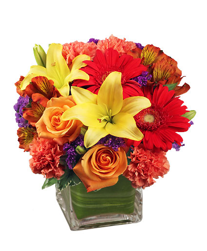 Bright Before Your Eyes — Katy Florist & Gifts, Katy TX