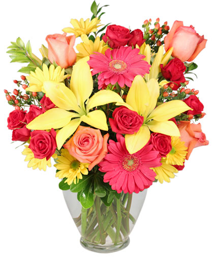 Bring On The Happy — Katy Florist & Gifts, Katy TX