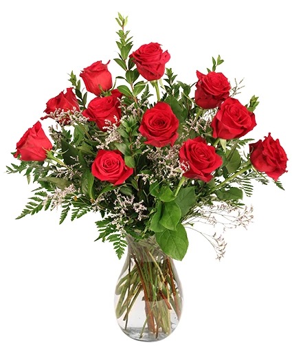 Burning Red Roses — Katy Florist & Gifts, Katy TX