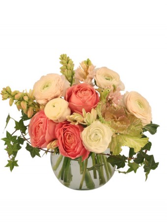 Calming Coral — Katy Florist & Gifts, Katy TX