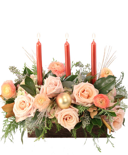 Calming Peach Roses — Katy Florist & Gifts, Katy TX