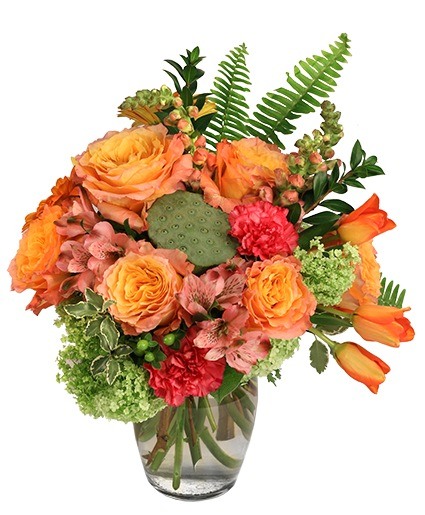 Captivated Allure — Katy Florist & Gifts, Katy TX