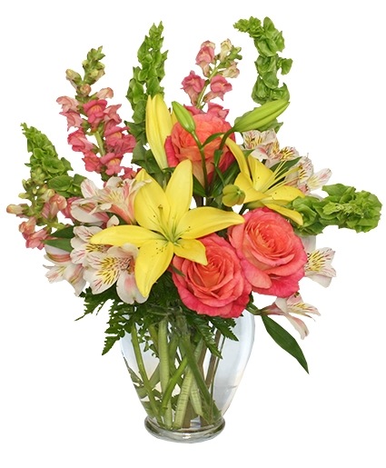 Carefree Spirit — Katy Florist & Gifts, Katy TX