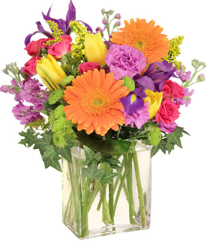 Celebrate Today! — Katy Florist & Gifts, Katy TX