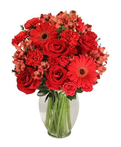 Charismatic Crimson — Katy Florist & Gifts, Katy TX