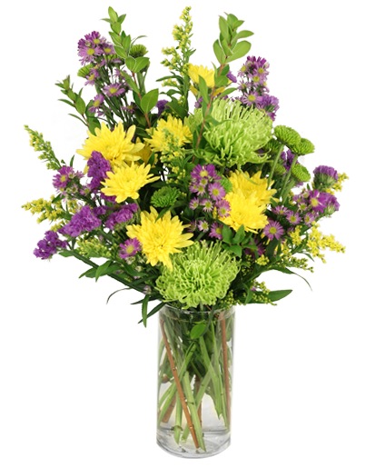 Cheerful Jubilee — Katy Florist & Gifts, Katy TX