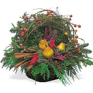 Christmas birds nest — Katy Florist & Gifts, Katy TX