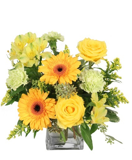 Citrus Symphony — Katy Florist & Gifts, Katy TX