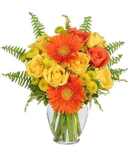 Citrus Zest — Katy Florist & Gifts, Katy TX