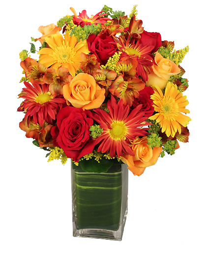 Colorful Canvas — Katy Florist & Gifts, Katy TX
