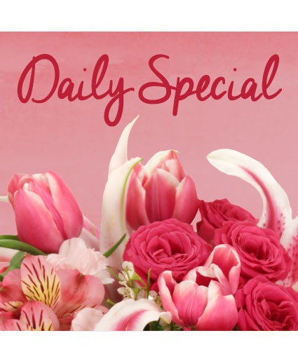 Daily — Katy Florist & Gifts, Katy TX
