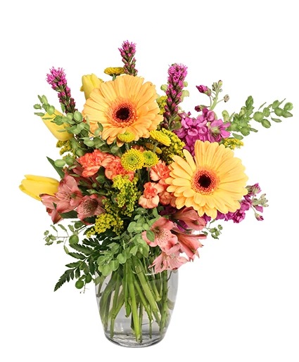 Dainty Darling — Katy Florist & Gifts, Katy TX