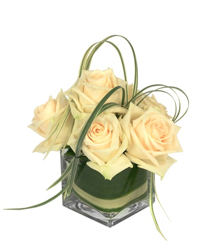 Dainty White Roses — Katy Florist & Gifts, Katy TX
