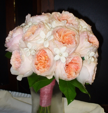 David Austin Roses — Katy Florist & Gifts, Katy TX