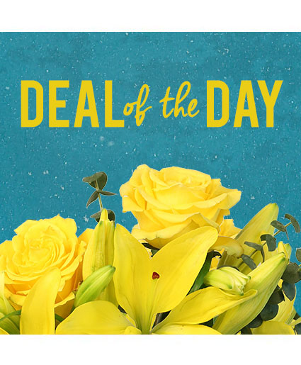 Deal of the Day — Katy Florist & Gifts, Katy TX