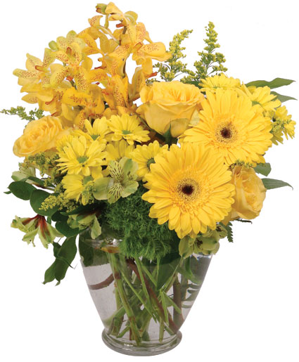 Divinely Golden — Katy Florist & Gifts, Katy TX