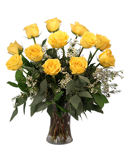 Dozen Yellow Roses — Katy Florist & Gifts, Katy TX