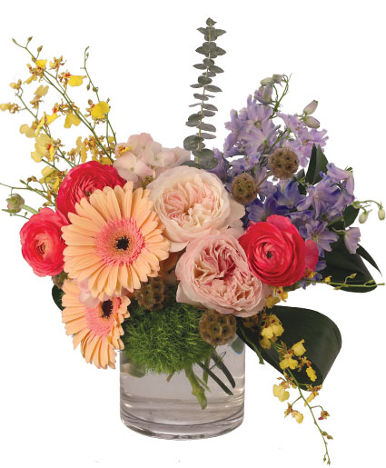Dreaming Blush — Katy Florist & Gifts, Katy TX