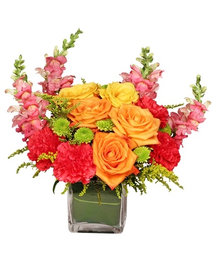 Dynamic Colors — Katy Florist & Gifts, Katy TX