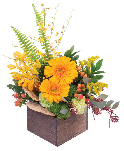 Earthy Indulgence — Katy Florist & Gifts, Katy TX