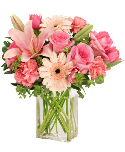 EFFLORESCENCE — Katy Florist & Gifts, Katy TX