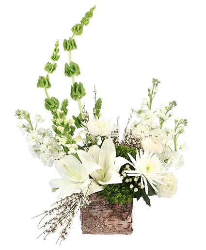 Enchanting Creams — Katy Florist & Gifts, Katy TX