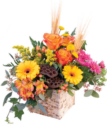 Enchanting Harvest — Katy Florist & Gifts, Katy TX