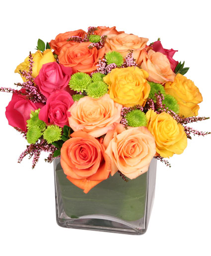 Energetic Roses — Katy Florist & Gifts, Katy TX