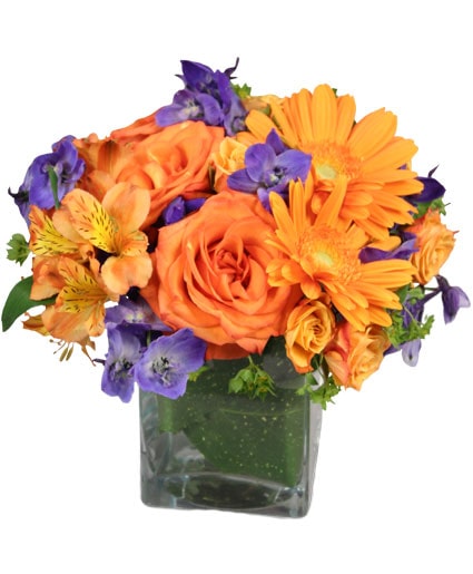 Enthusiasm Blossoms — Katy Florist & Gifts, Katy TX