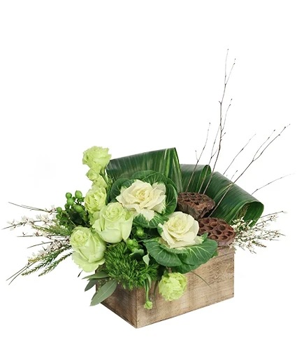 Enticing Emeralds — Katy Florist & Gifts, Katy TX