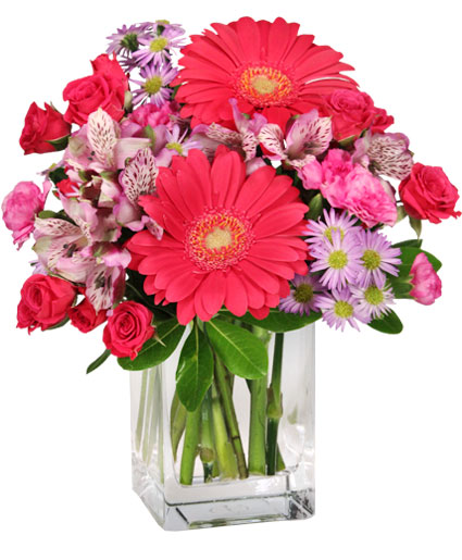 Epic Bloomers — Katy Florist & Gifts, Katy TX