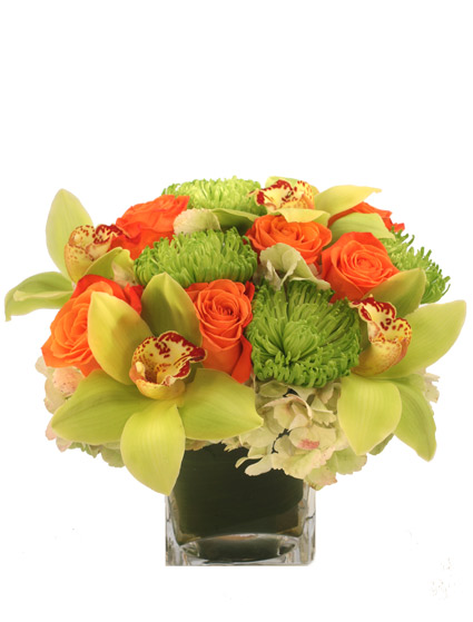 Exotic Greenness — Katy Florist & Gifts, Katy TX
