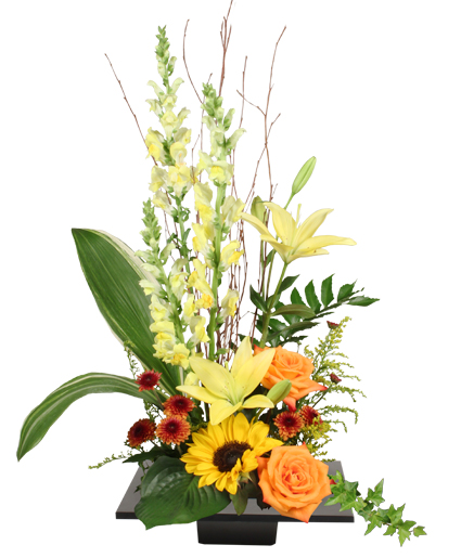 Expressive Blooms — Katy Florist & Gifts, Katy TX