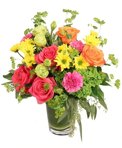 Festive Surprise — Katy Florist & Gifts, Katy TX