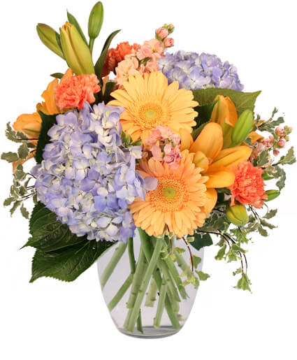 Filled with Delight — Katy Florist & Gifts, Katy TX