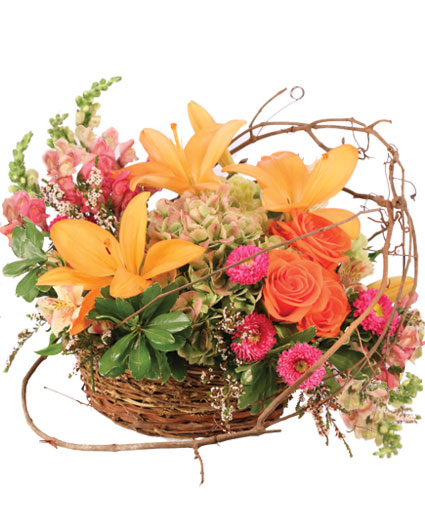 Free Spirit Garden — Katy Florist & Gifts, Katy TX
