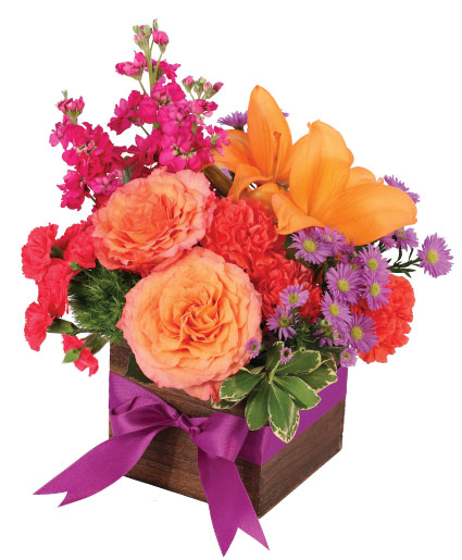 Free Spirit Lilies — Katy Florist & Gifts, Katy TX