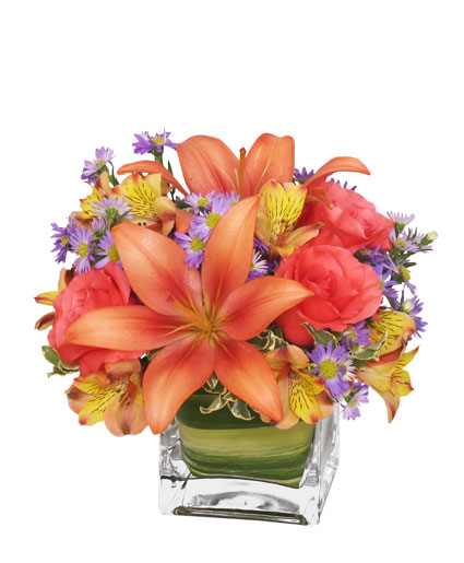 Friendly Fall Bouquet — Katy Florist & Gifts, Katy TX